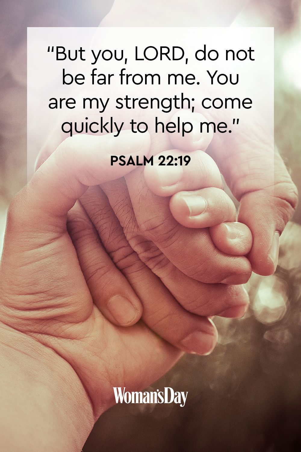 - - - wdy-bible-quotes-strength3-1568650133
